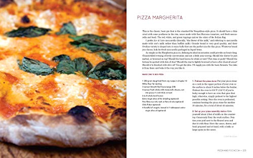Flour Water Salt Yeast – Artisan Bread and Pizza Basics