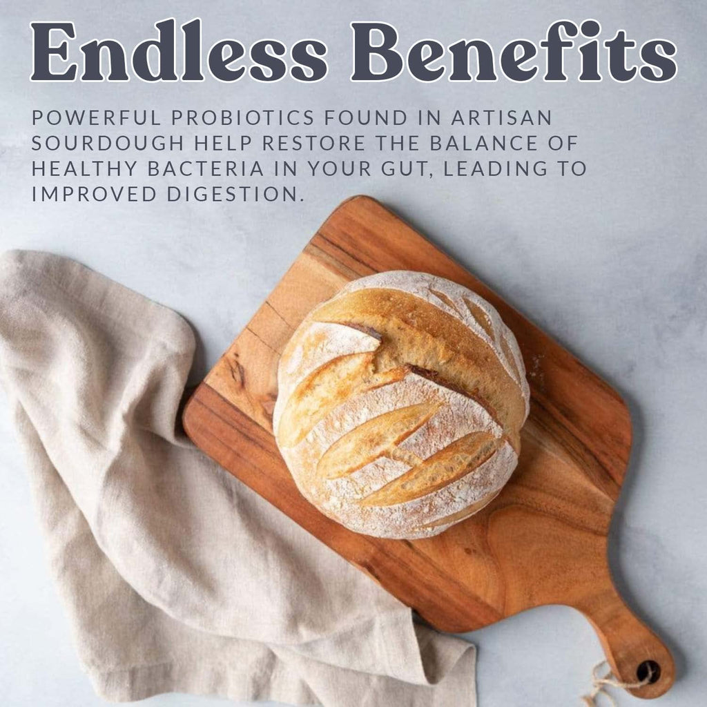 San Francisco Sourdough Starter for Authentic Artisan Bread Baking
